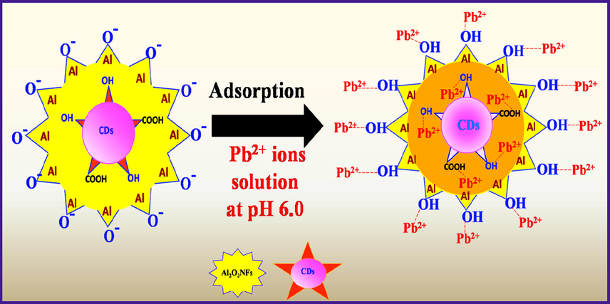 Adsorption mechanism of Pb2+ ions by using CDs/Al2O3NFs nanocomposite.