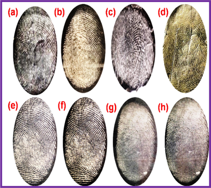 (a–h) Latent fingerprints images on the different surface materials of glass slide: (a) Al2O3NFs, (b) Pb2+-CDs/Al2O3NFs nanocomposite; aluminium foil: (c) Al2O3NFs, (d) Pb2+-CDs/Al2O3NFs nanocomposite; aluminium sheet: (e) Al2O3NFs, (f) Pb2+-CDs/Al2O3NFs nanocomposite; aluminium rod: (g) Al2O3NPs, (h) Pb2+-CDs/Al2O3NFs nanocomposite under daylight.