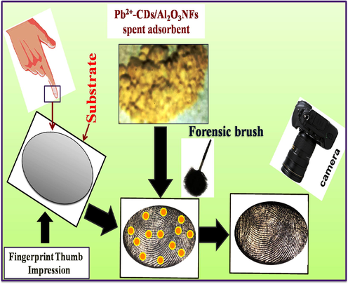 LFP detection mechanisms with Pb2+-CDs/Al2O3NFs nanocomposite by using powder dusting method.