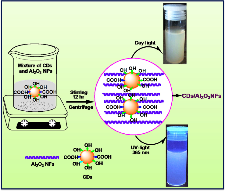 Schematic diagram of CDs/Al2O3NFs adsorbent by adsorption method.