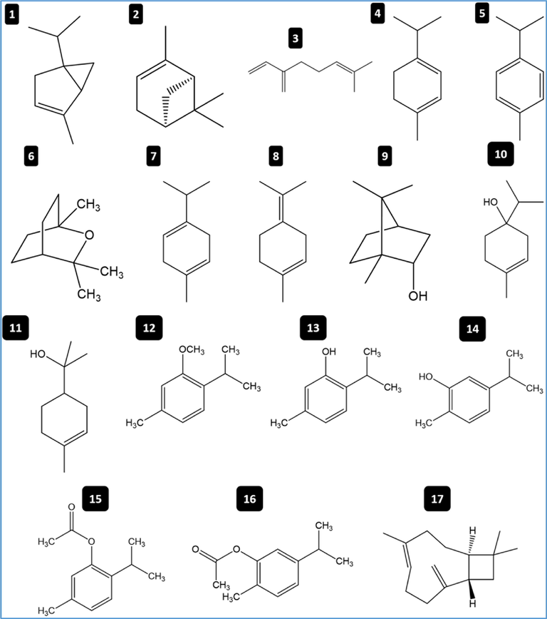 Chemical structures of 17 bioactive molecules identified in T. musilii essential oil using GC–MS technique. Numbers in the figure correspond to the codes in Table 1.