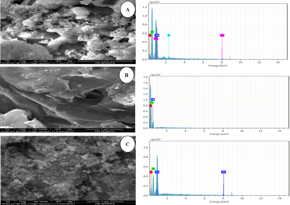 SEM Images (A), CuO (B), GO and (C), GO-CuO Nanocomposites.