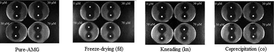 Effect of pure AMG and of amygdalin-β-cyclodextrin compounds obtained by freeze-drying, kneading and coprecipitation, on the growth of the Δsod1 mutant against free radicals produces by H2O2 (disk at the top of each Petri disk) and menadione (disk at the bottom of each Petri disk).