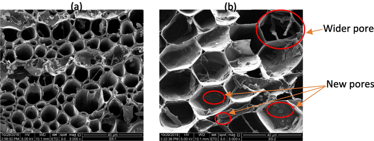 SEM images of (a) GGSW (b) GGSWAC.