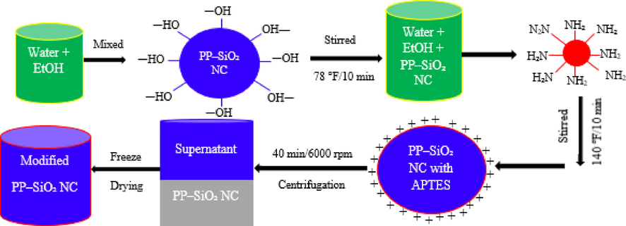 Surface charge functionalization of developed PP-SiO2 NC.