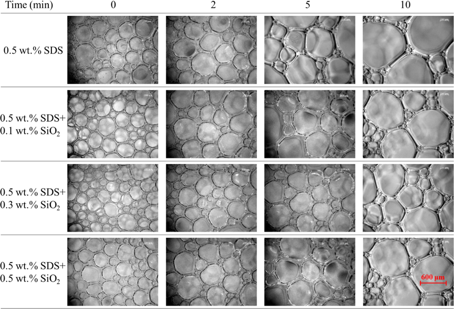 Time-dependent bubble state of foam systems.