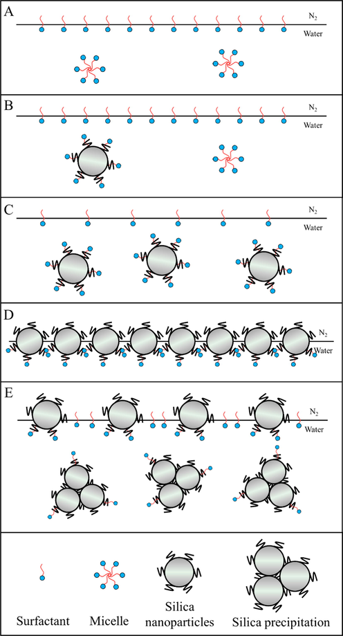 Adsorption of SDS and SiO2 nanoparticles at gas-liquid interface: (a) simple SDS system; (b) - (e) represent the gradual increase in the amount of SiO2.