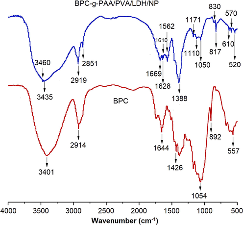 The FTIR spectra of BPC and BPC-g-PAA/PVA/LDH/NP.