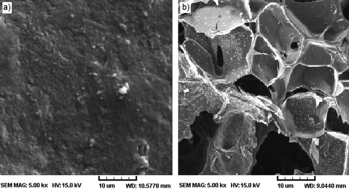 SEM micrographs of (a) BPC and (b) BPC-g-PAA/PVA/LDH/NP.