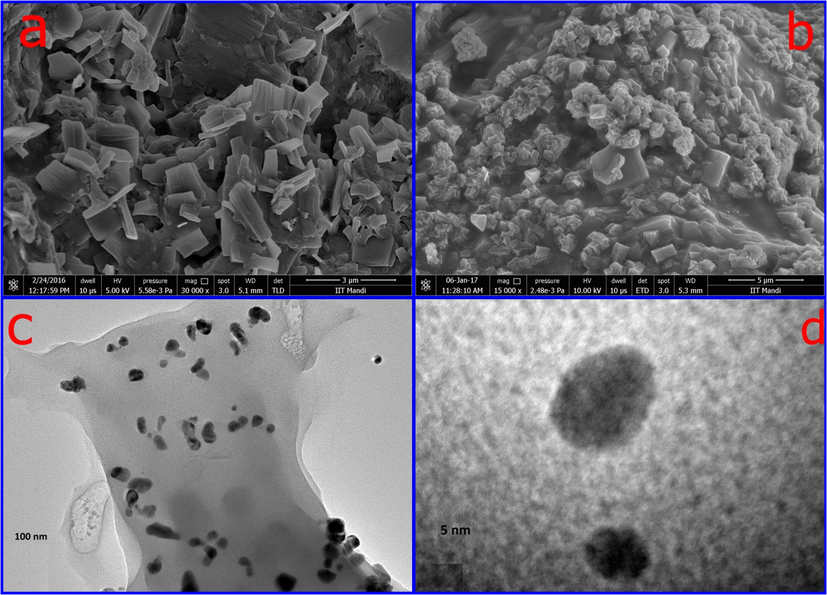 SEM images of (a) GCP (b) GCP/ZO-S nano composite and (c-d) TEM images of GCP/ZO-S nano composite.