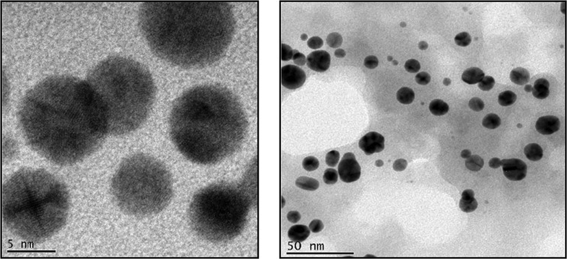 High Resolution Transmission electron microscopic images illustrating the copper oxide nanoparticles synthesized using Abies spectabilis plant extract as reducing agent. Scale bars: 5 nm and 50 nm.