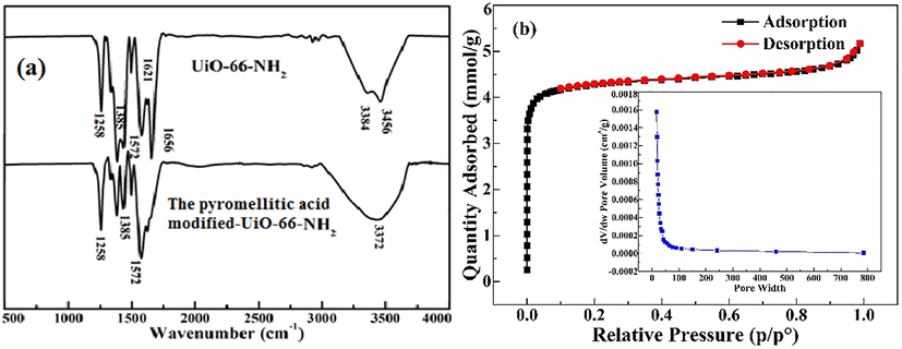 FT-IR spectra of UiO-66-N H 2 and the pyromellitic acid modified-UiO-66-NH2 (a) and BET of the pyromellitic acid modified-UiO-66-NH2 (b).