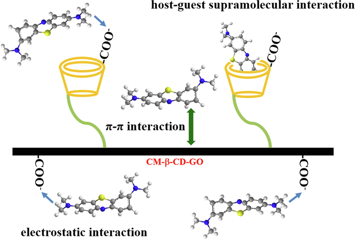 Proposed adsorption mechanism of MB by CM-β-CD-GO.