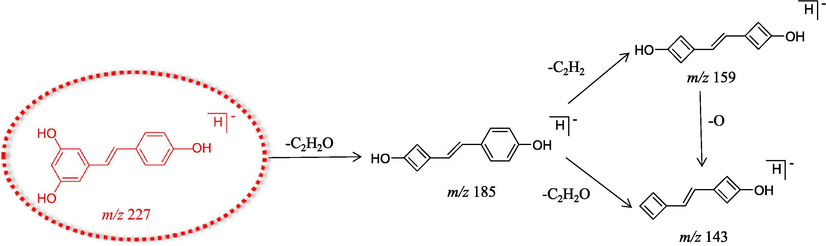 The proposed fragmentation pathways of resveratrol.