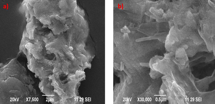 (a) & (b) SEM images of Zinc oxide catalyst before advanced oxidation process.