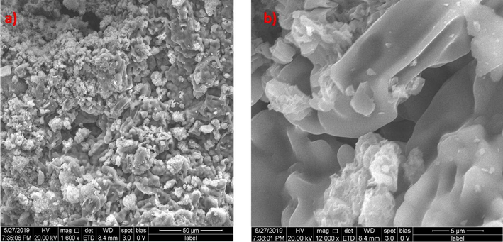 (a) & (b) SEM images of Zinc oxide catalyst after advanced oxidation process.