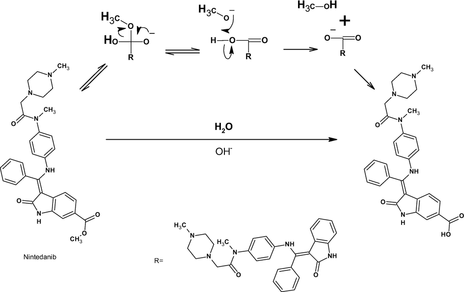 Proposed base hydrolytic reaction mechanism.