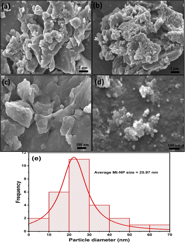 Scanning electron microscopy of (a, c) MApe and (b, d) MApe-Mt at 1 μm and 100 nm respectively, and (e) particle size distribution of magnetite nanoparticles.