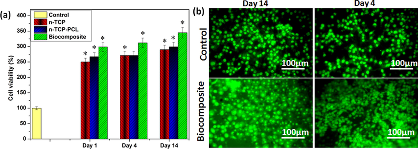 (a) Cell viability (*p < 0.05); (b) Live/dead cell assay of biocomposite.