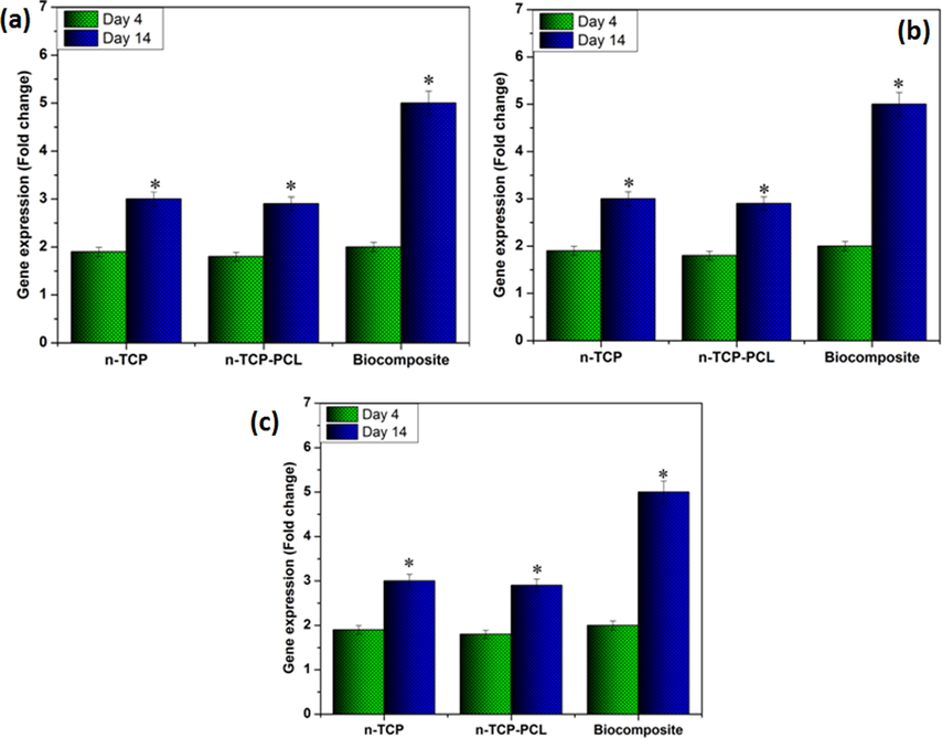 Osteogenic gene expesssion in stem cell seeded on the prepared samples: (a) RUNX-2,(b) OCN, and (c) BMP2 expression at 4 and 14 days (*p < 0.05).