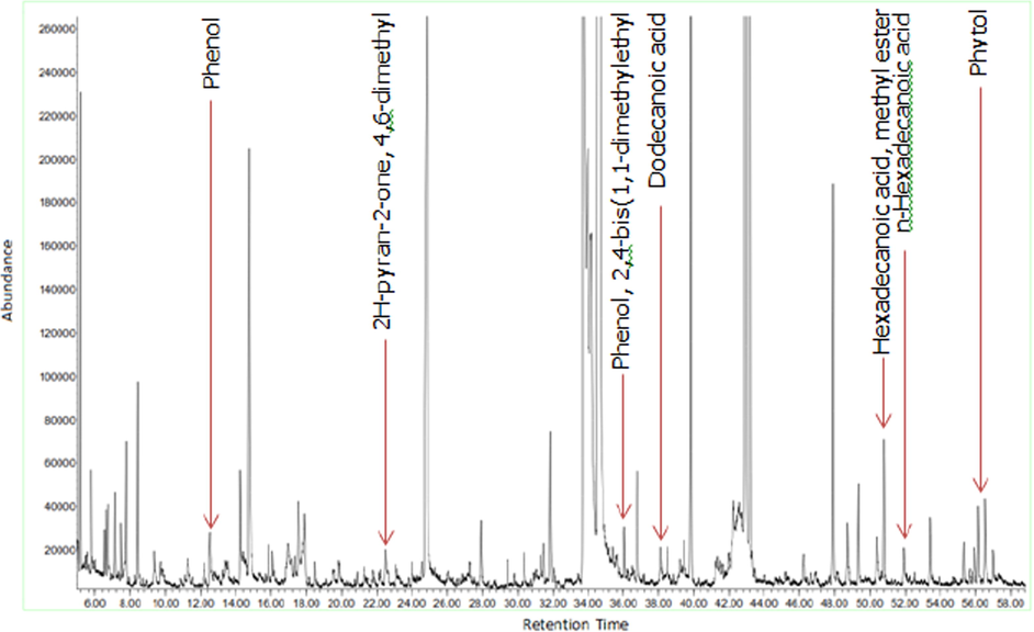 GC–MS chromatogram of the methanol extract of D. suffruticosa.