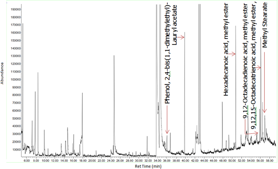 GC–MS chromatogram of the hexane fraction of D. suffruticosa methanol extract.