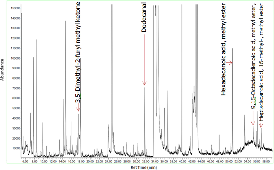 GC–MS chromatogram of the ethyl acetate fraction of D. suffruticosa methanol extract.