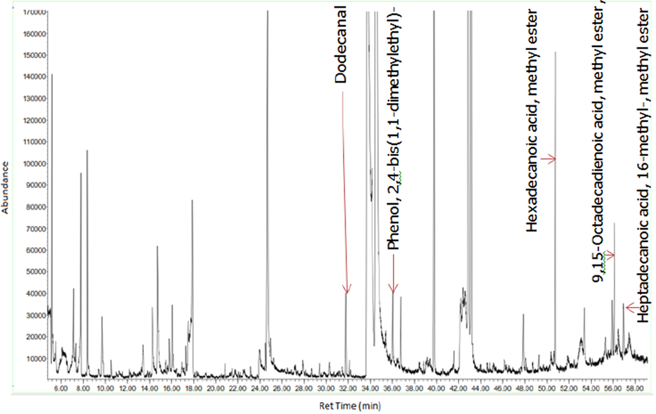 GC–MS chromatogram of the chloroform fraction of D. suffruticosa methanol extract.