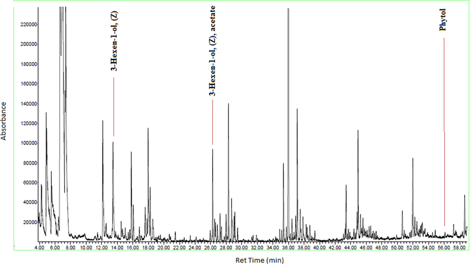 GC–MS chromatogram of the chemical constituents of essential oil of D. suffruticosa.