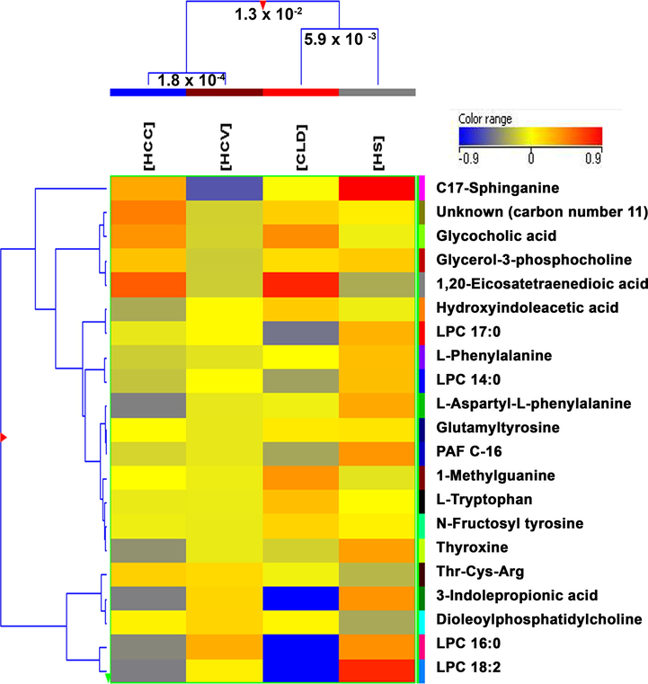 Comparison of four groups; HS, HCV, CLD, and HCC by hierarchical clustering for the 18 identified and 3 annotated features that were found significantly different.