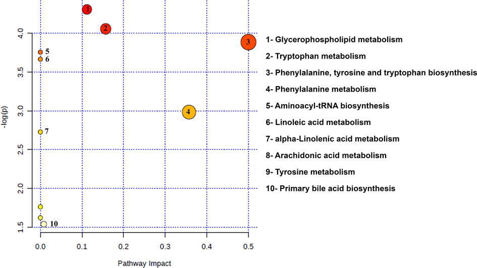 Summary of the biological pathways involved in the liver disease, analyzed by MetaboAnalyst 4.0 Software.