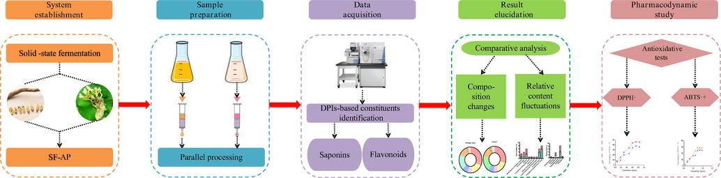 The summary diagram of analytical strategy and methodology.