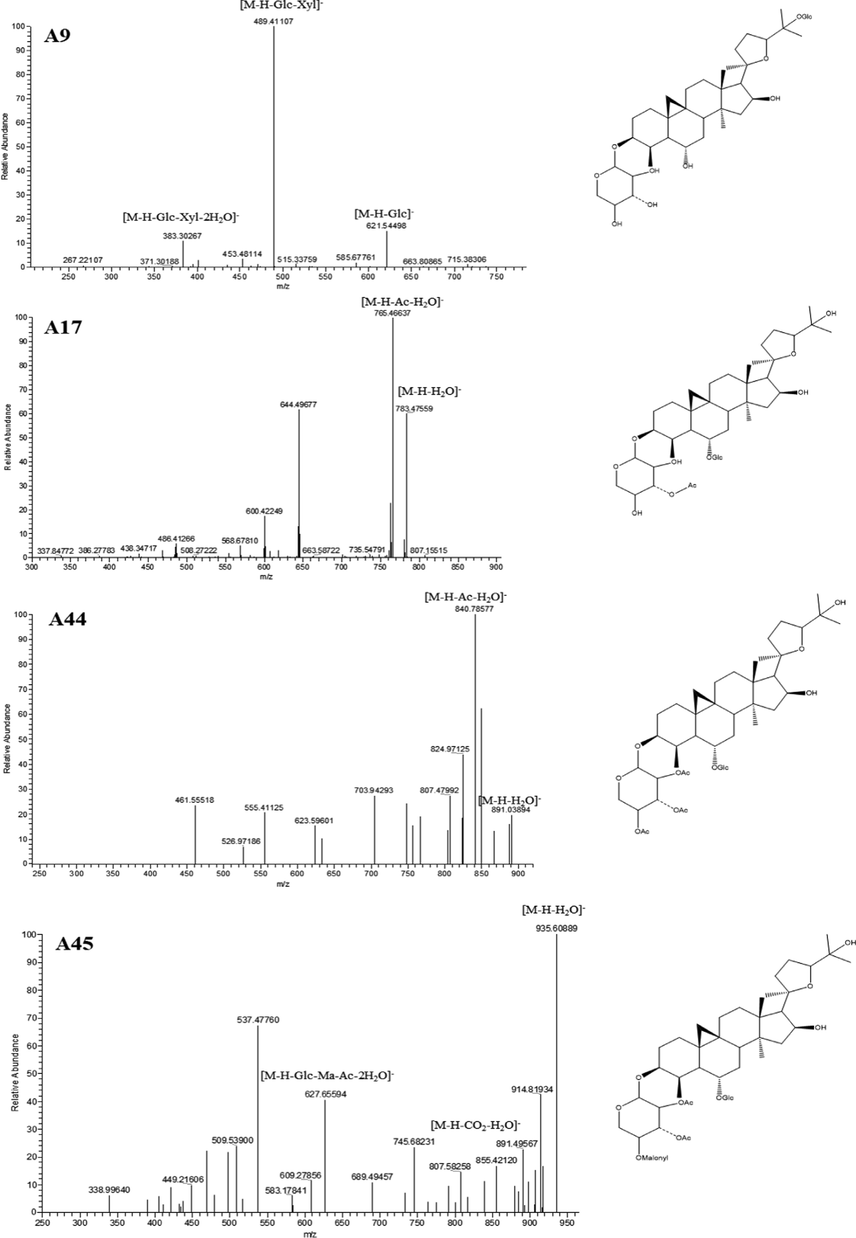 The ESI-MS2 spectra and chemical structures of A9, A17, A44 and A45.