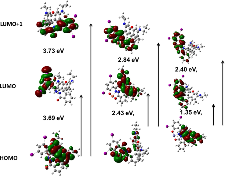 DFT analysis of the chemosensor RS, RS-Cu and RS-Fe (left to right).