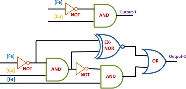 Molecular logic circuit for the chemosensor RS.