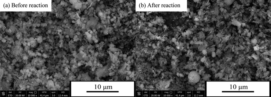 SEM images of as-prepared catalysts before reaction (a) and after reaction (b).