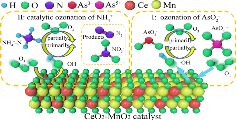 Possible oxidation mechanism for NH4+ and AsO2−.