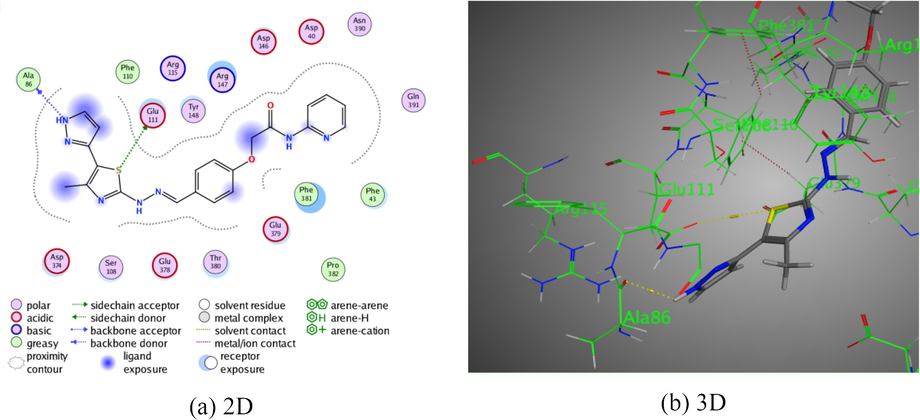 The interaction of pyridine-thiazole hybrid 10 with Rho-associated protein kinase 1.