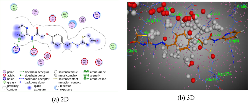 The interaction of pyridine-thiazole hybrid 5 with Rho-associated protein kinase 1.