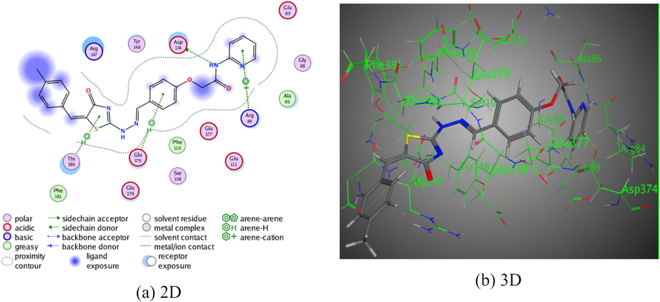 The interaction of pyridine-thiazole hybrid 6a with Rho-associated protein kinase 1.