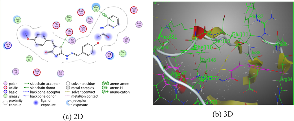 The interaction of pyridine hybrid 6b with Rho-associated protein kinase 1.