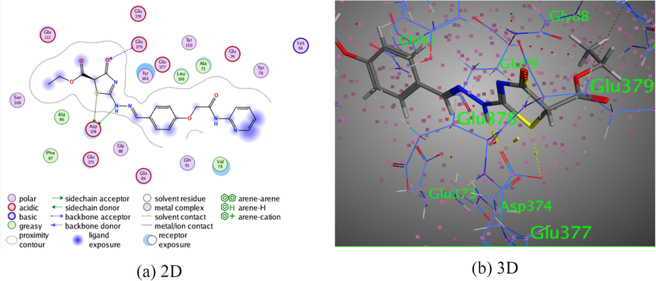 The interaction of pyridine-thiazole hybrid 7 with Rho-associated protein kinase 1.