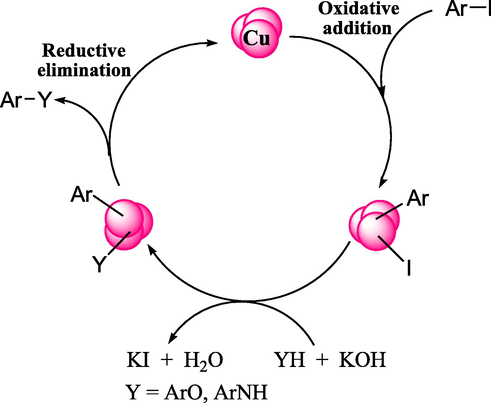 Possible reaction pathway for CS-Cu NPs catalyzed C-N and C-O bonds formation.