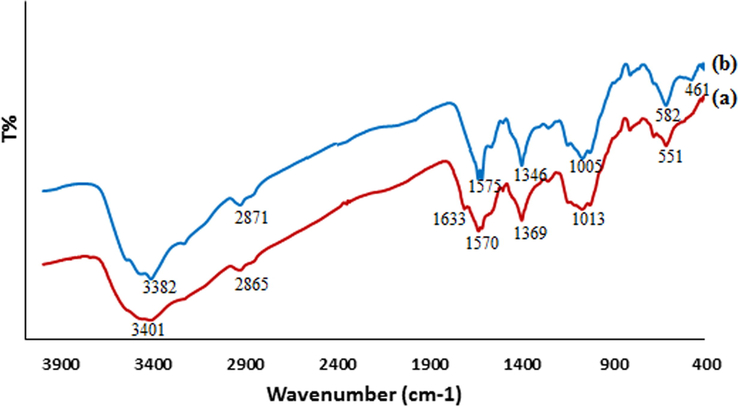 FT-IR spectrum of (a) CS and (b) CS-Cu NPs.