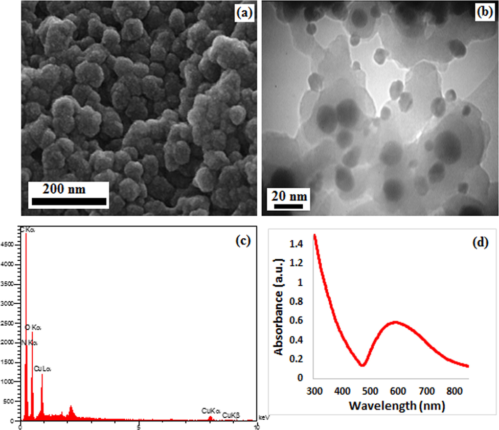 (a) FESEM, (b) TEM images of CS-Cu NPs with (c) its EDX pattern and (d) UV–Vis spectrum.