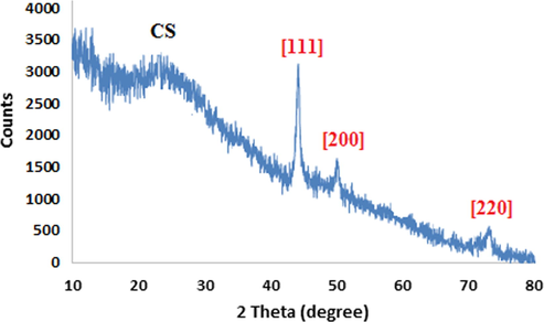 Powder XRD pattern of CS-Cu NPs.