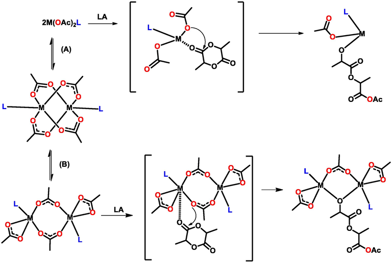 Proposed mechanism pathways for ROP using paddlewheel acetate complexes.