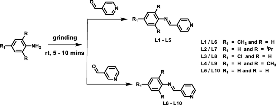 Synthetic route for the preparation of Schiff base ligands L1 – L10.