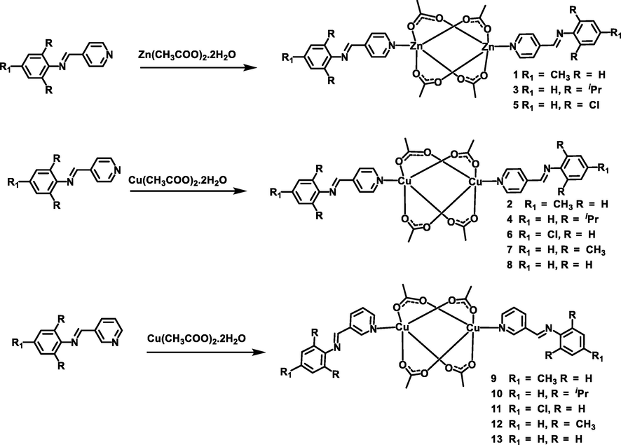 Synthesis of Zn(II) and Cu(II) pyridinyl complexes 1–13.