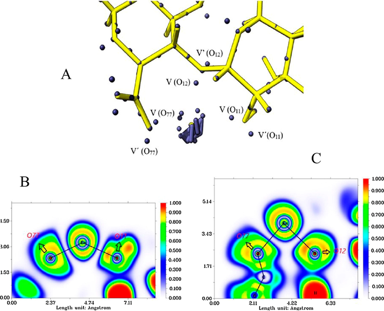 Attractor populations of the lone pairs of O11, O12, O77, valence, and calcium core attractors (A). ELF diagrams for the Ca-(O77, O11) interaction (B) and for the Ca-(O12, O77) interaction (C).